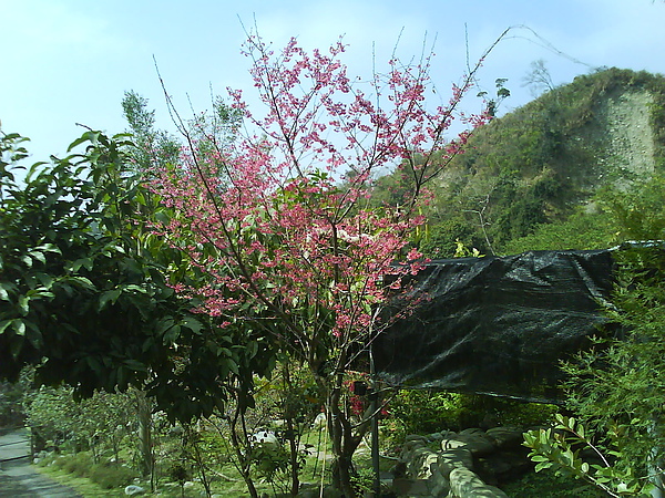 dsc00074.jpg