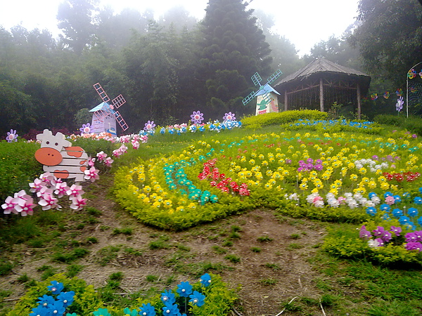 20100905323.jpg