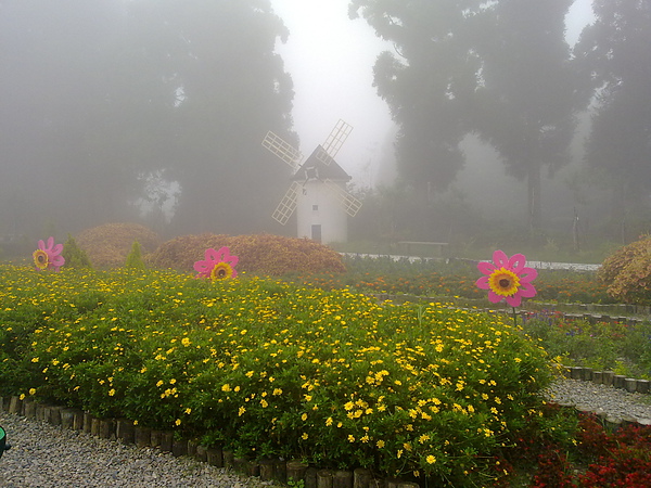 20100905301.jpg