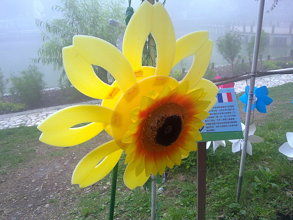 20100905315.jpg