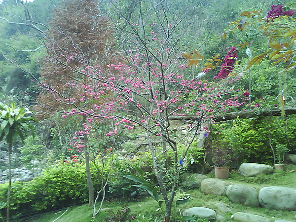 dsc00102.jpg
