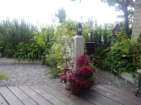 20100905248.jpg