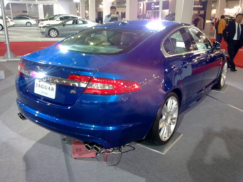 ap_F23_20110104105024532.jpg