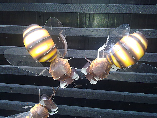 20100905356.jpg