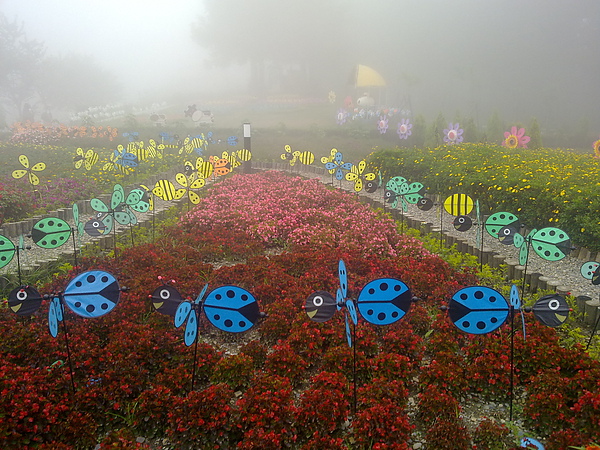 20100905300.jpg