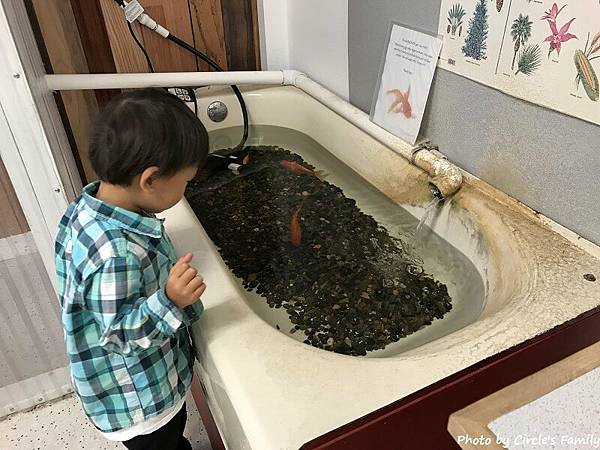 卡森兒童博物館 (21).jpg 卡森兒童博物館 (21).jpg