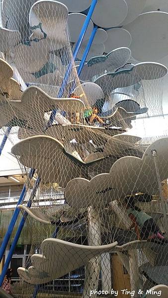 雷諾一日遊 (5).jpg 雷諾一日遊 (5).jpg