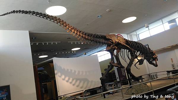 雷諾一日遊 (8).jpg 雷諾一日遊 (8).jpg