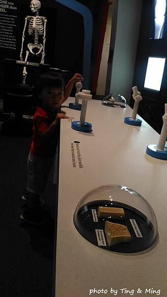 雷諾一日遊 (33).jpg 雷諾一日遊 (33).jpg