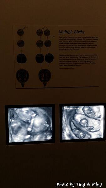 雷諾一日遊 (34).jpg 雷諾一日遊 (34).jpg