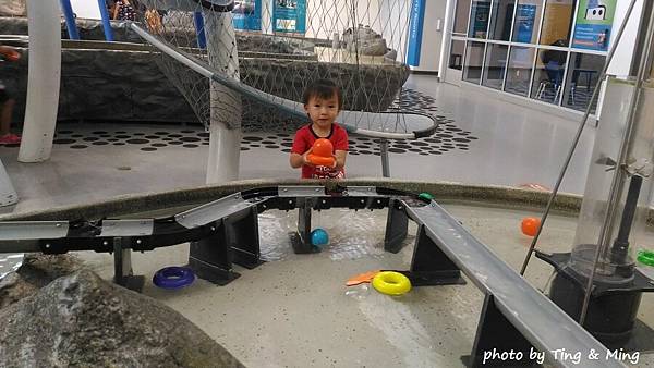 雷諾一日遊 (37).jpg 雷諾一日遊 (37).jpg