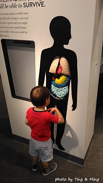 雷諾一日遊 (40).jpg 雷諾一日遊 (40).jpg