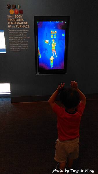 雷諾一日遊 (41).jpg 雷諾一日遊 (41).jpg