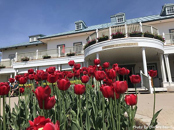 魁北克 水晶瀑布 Montmorency Falls.高 魁北克 水晶瀑布 Montmorency Falls.高