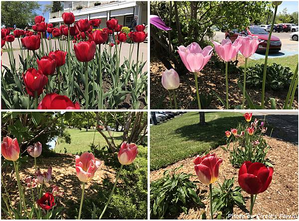 魁北克 水晶瀑布 Montmorency Falls.高 魁北克 水晶瀑布 Montmorency Falls.高