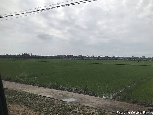 椰子船 (7).jpg 椰子船 (7).jpg