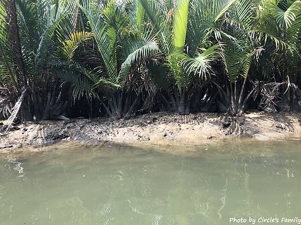 椰子船 (33).jpg 椰子船 (33).jpg