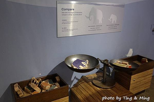 san jose兒童館 (38).jpg san jose兒童館 (38).jpg