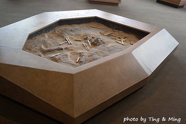 san jose兒童館 (41).jpg san jose兒童館 (41).jpg