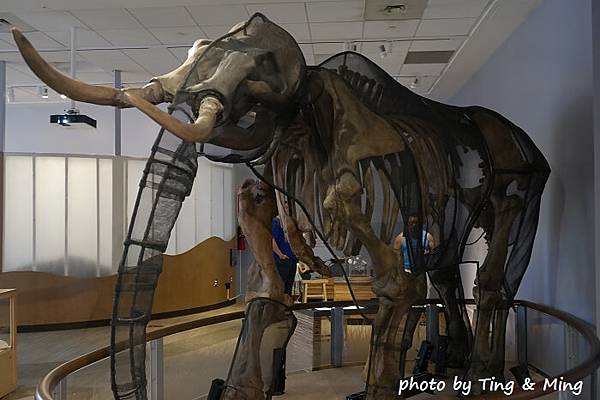 san jose兒童館 (42).jpg san jose兒童館 (42).jpg