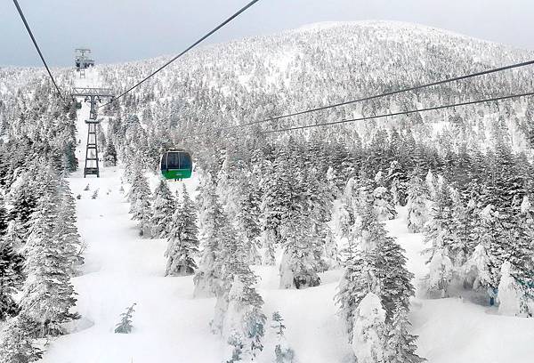 P1460191-1.JPG P1460191-1.JPG