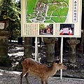 2014京阪奈良-7.jpg