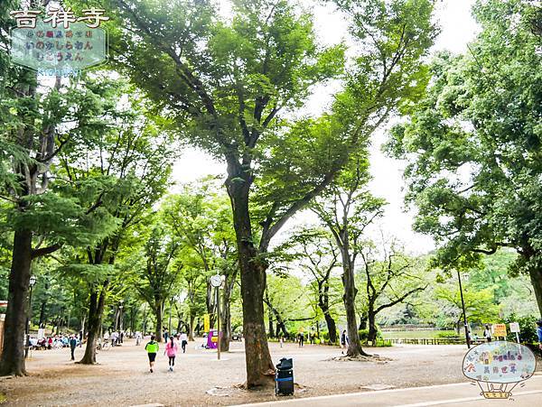 (2017年日本旅遊)東京(吉祥寺 いせや井之頭恩賜公園)007.jpg