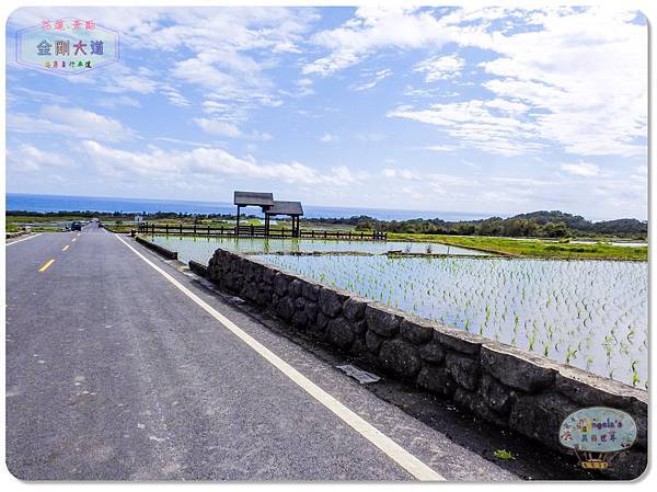 (2018年花東行)台東金剛大道028.jpg