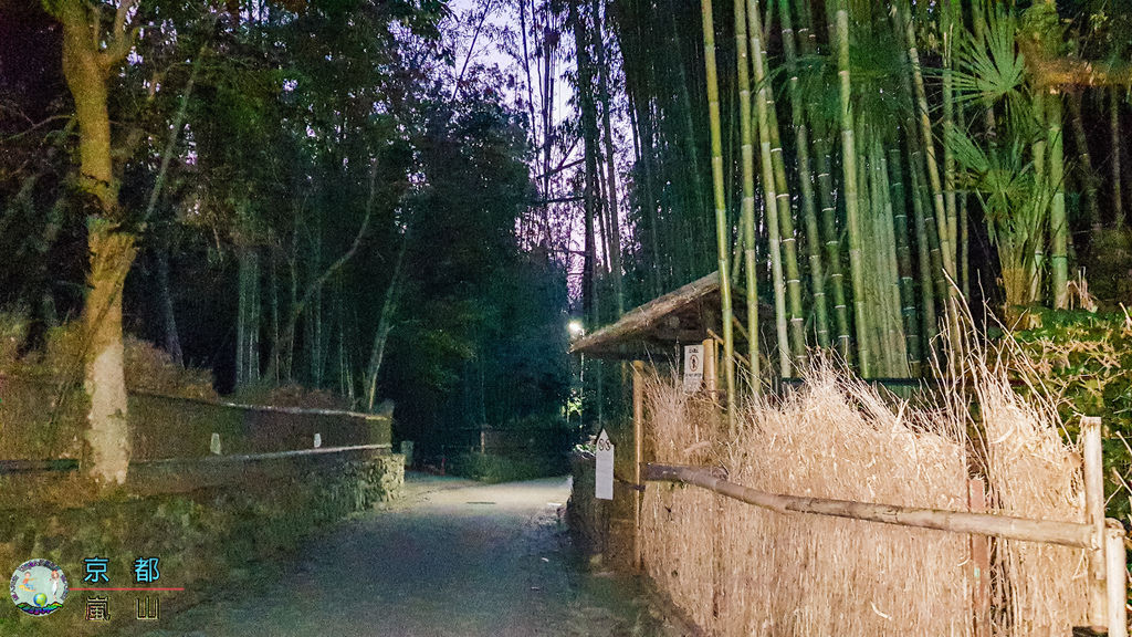 (2019年日本京阪神奈)京都(嵐山)052.jpg