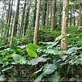 2009_0725_122644_blog.jpg