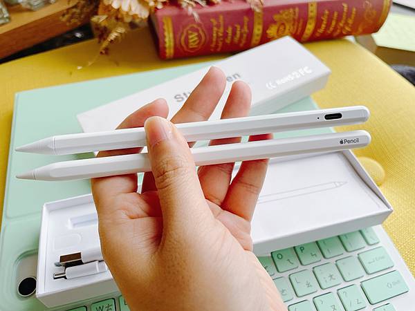 iPad 專用防掌觸觸控筆