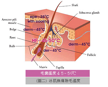 未命名 -21拷貝.jpg