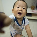 豬-1041.jpg