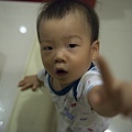 豬-1043.jpg