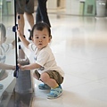 豬-850.jpg