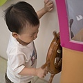豬-859.jpg