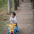 豬-868.jpg