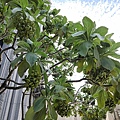 IMG20190620110220.jpg