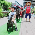 IMG20190615115611.jpg