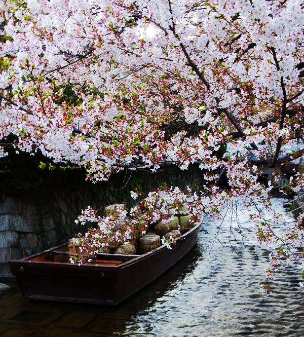 高瀨川.jpg 高瀨川.jpg