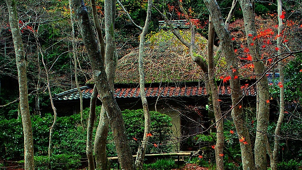 祇王寺01.jpg 祇王寺01.jpg