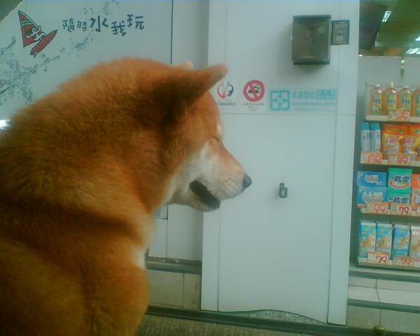 兜風2 0001 (94).jpg
