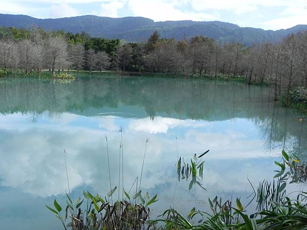 花蓮雲山水029