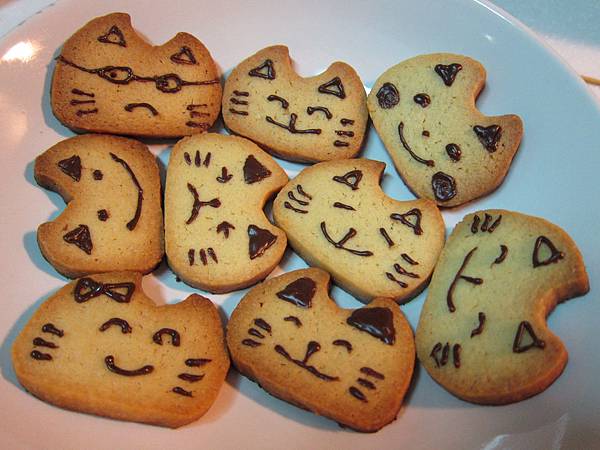 貓咪餅乾