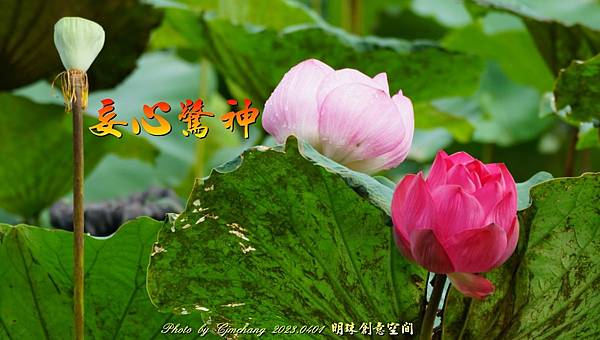 妄心驚神.jpg 妄心驚神.jpg