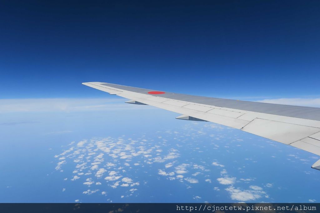 IMG_5014.jpg IMG_5014.jpg