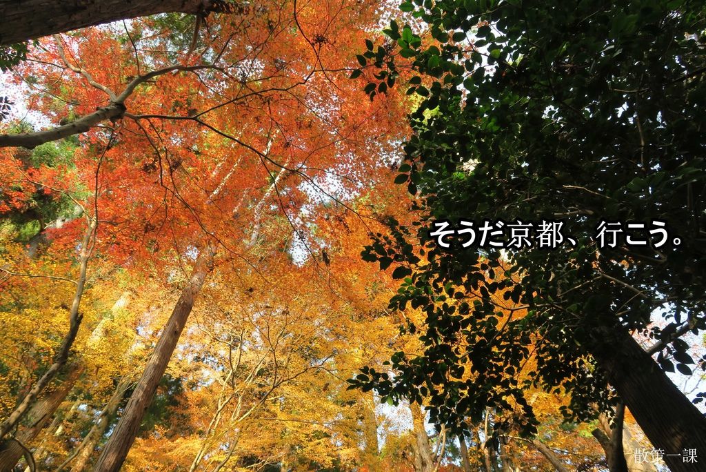 IMG_9128.jpg IMG_9128.jpg