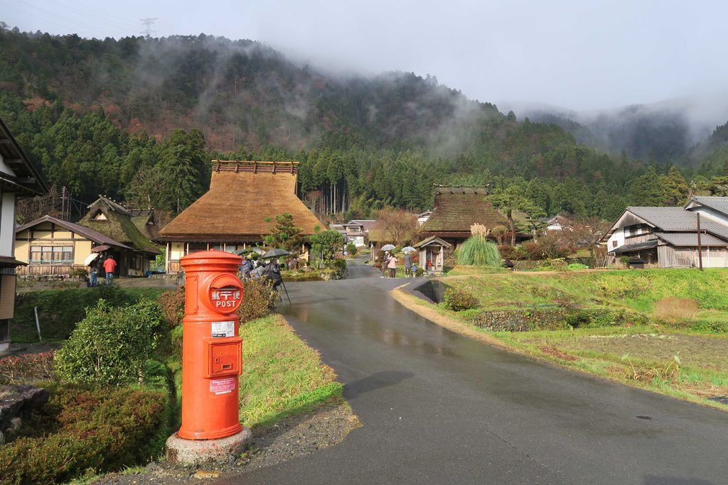 IMG_9584_compressed.jpg IMG_9584_compressed.jpg