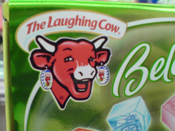 Laughing cow.JPG