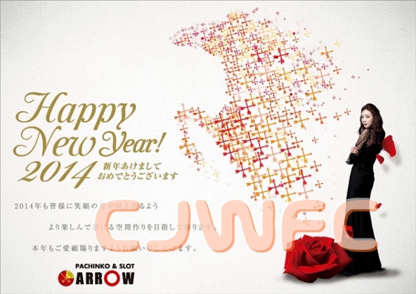 ARROW2014-01DM-00